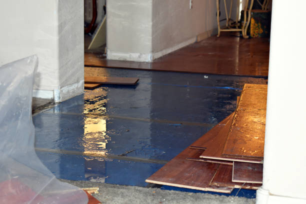 Professional Flood Cleanup technician working in Marshall, CA